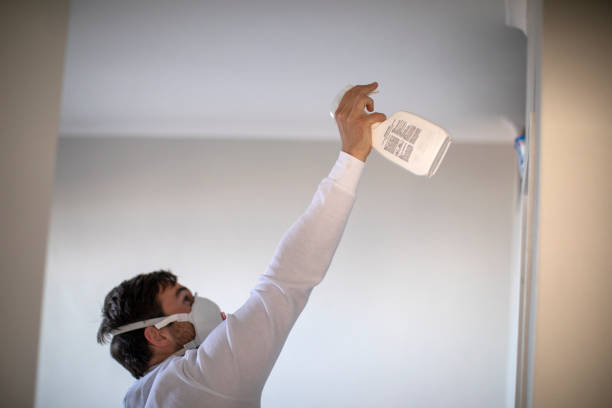 Best Certified Mold Removal  in Columbus, GA