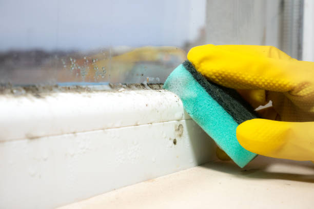 Best Mold Testing  in Columbus, GA